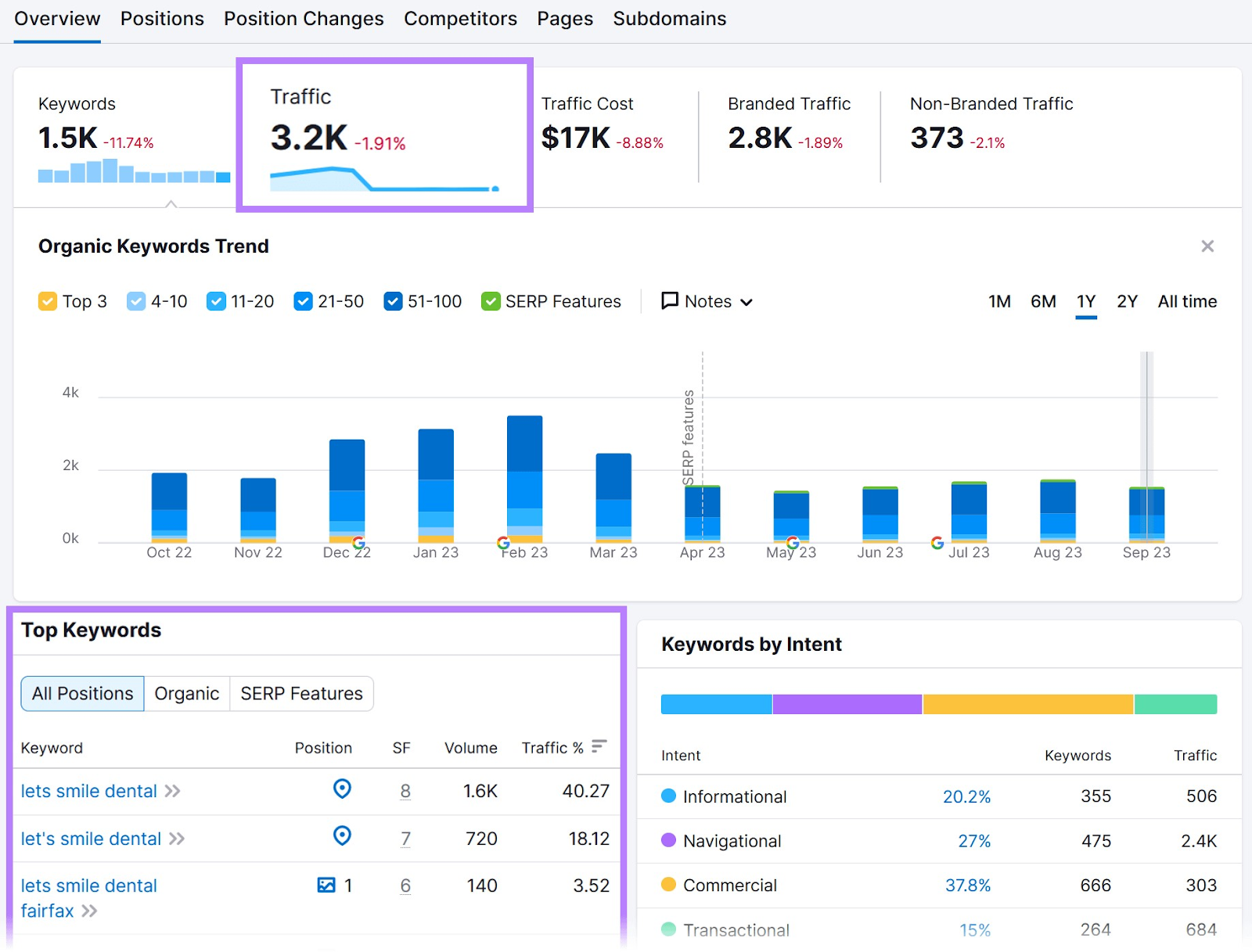Organic Rankings tool "Overview" report