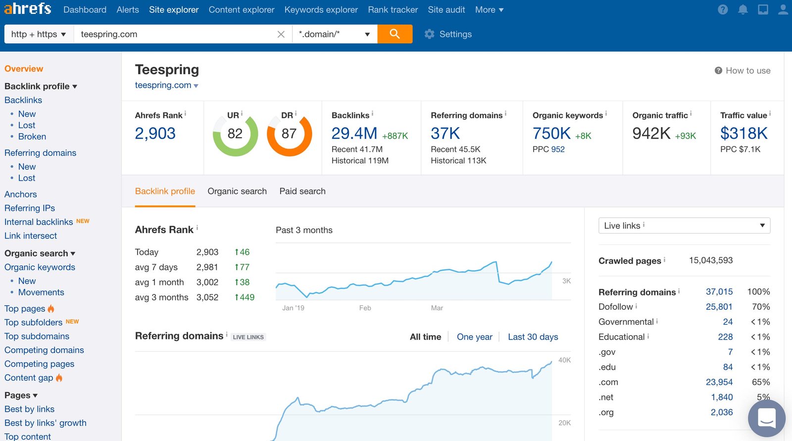 seo reports for clients